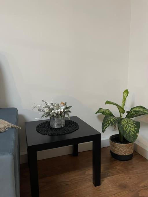 Apartament La Casa Timişoara Extérieur photo